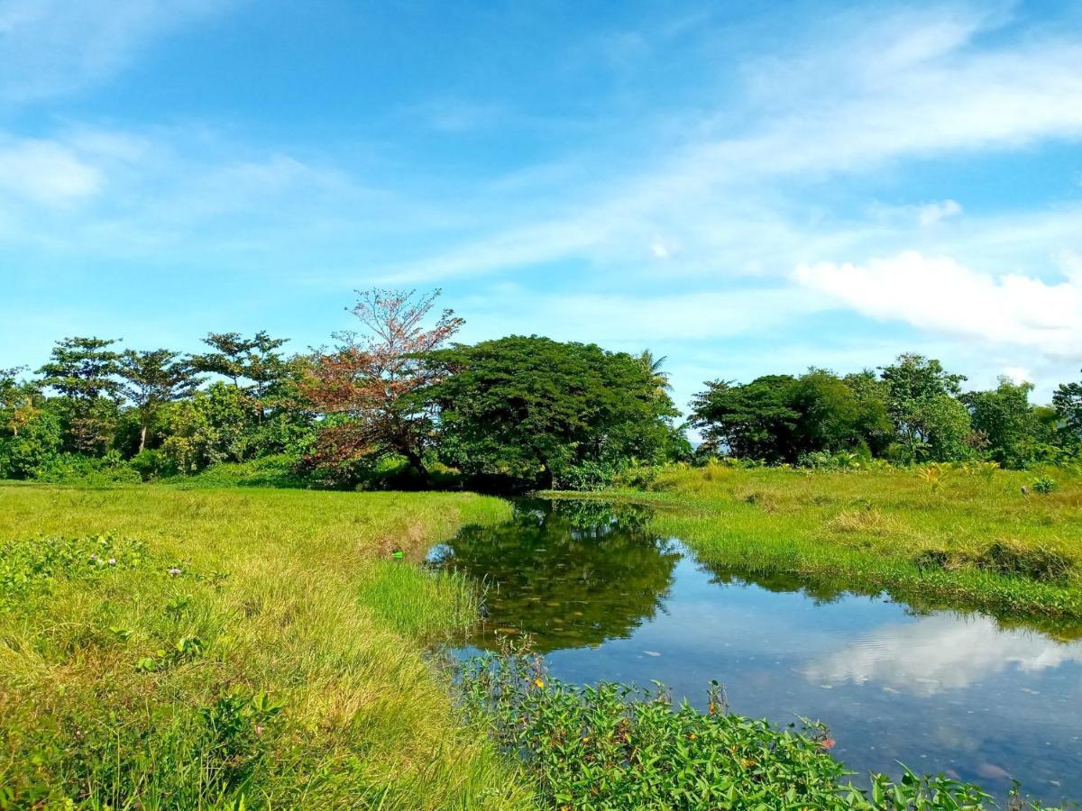 Villa Eliza Ecofarm Tibiao Экстерьер фото